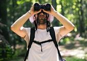 Bird-watching in the Horton Plains National Park