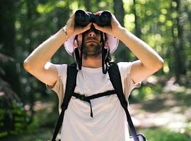 Bird-watching, Horton Plains, Sri Lanka