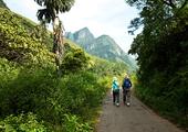 Trekking in the Knuckles Mountain Range