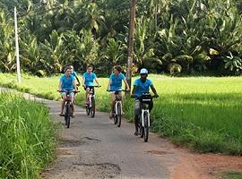 Cycling tour, Galle