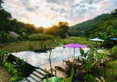 Fern Resort