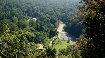 Danum Valley, Sabah, Borneo