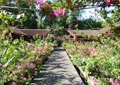 Abai Jungle Lodge
