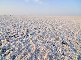 Terrain, Little Rann of Kutch