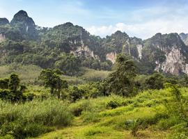 Khao Sok National Park