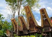 Highlands & Islands of Sulawesi