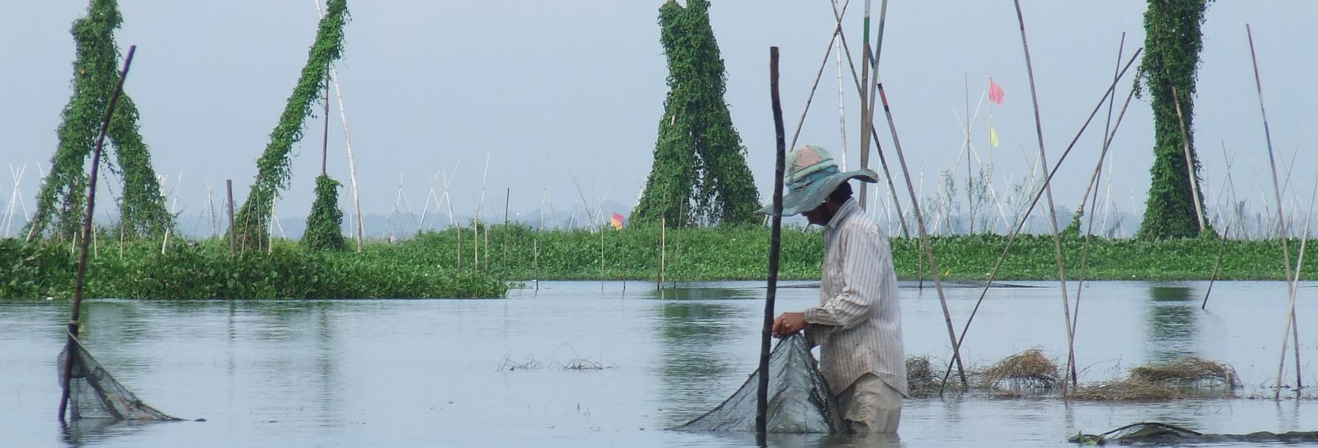 Fishing, Sengkang