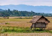 Trek around Luang Nam Tha