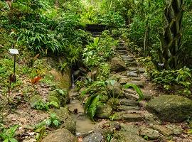 Penang Spice Garden, Malaysia