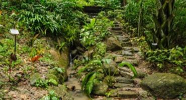 Penang Spice Garden, Malaysia