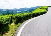 Self-drive in Malaysia