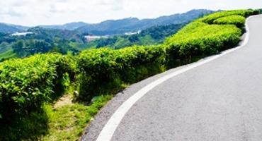 Self-drive, Cameron Highlands, Malaysia