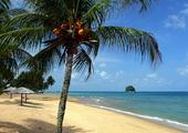 Relax on Tioman Island