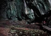 Explore the caves of the Mulu National Park