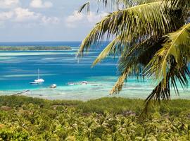 Coast, Karimunjawa Island