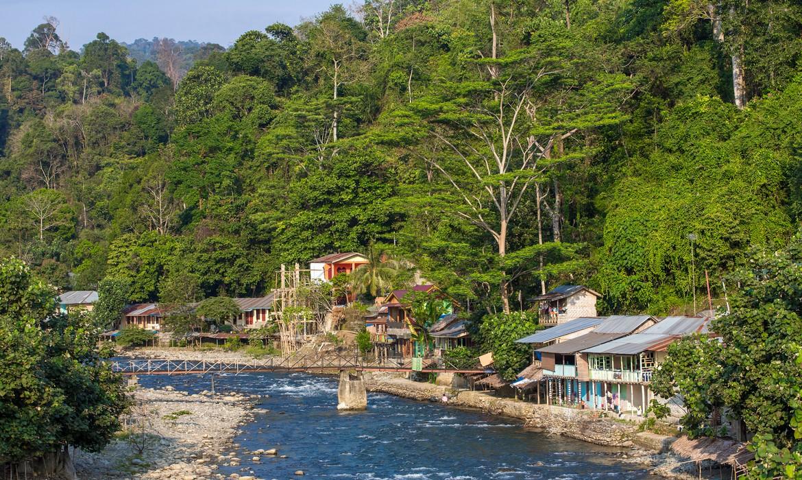 Bukit Lawang