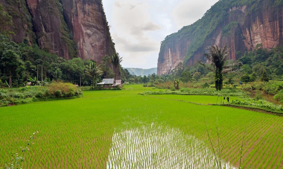 Harau Valley, Bukittinggi