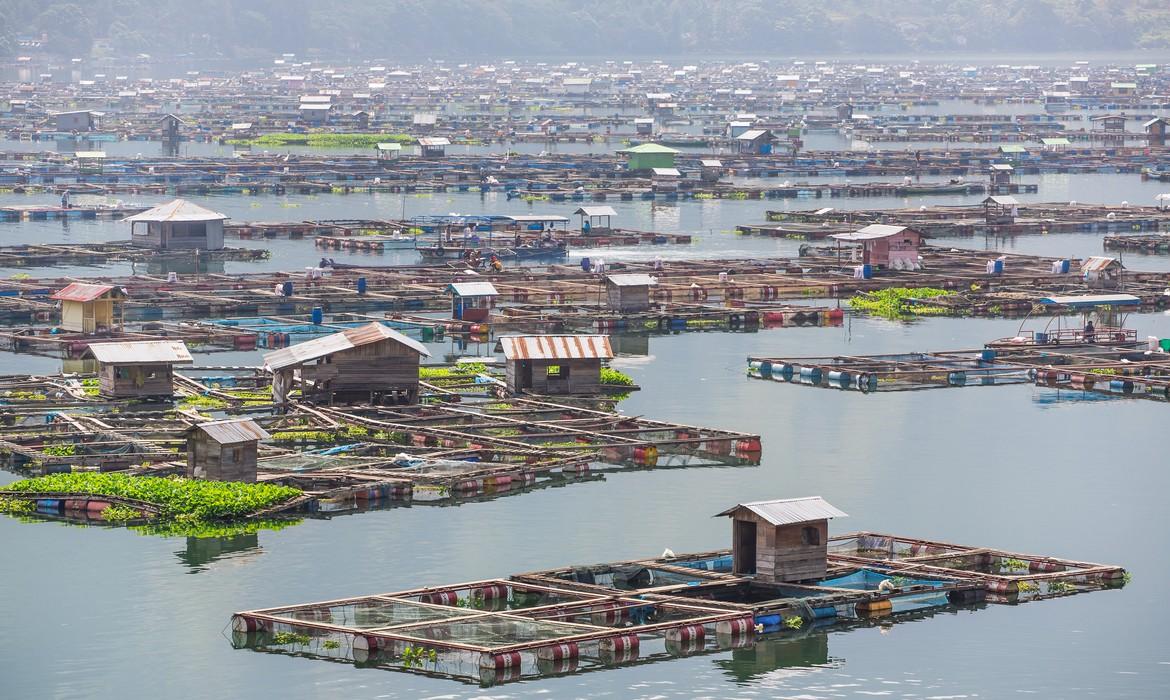 Traditional fish cages, Lake Toba