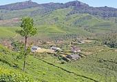 Trek in the Letchmi Hills