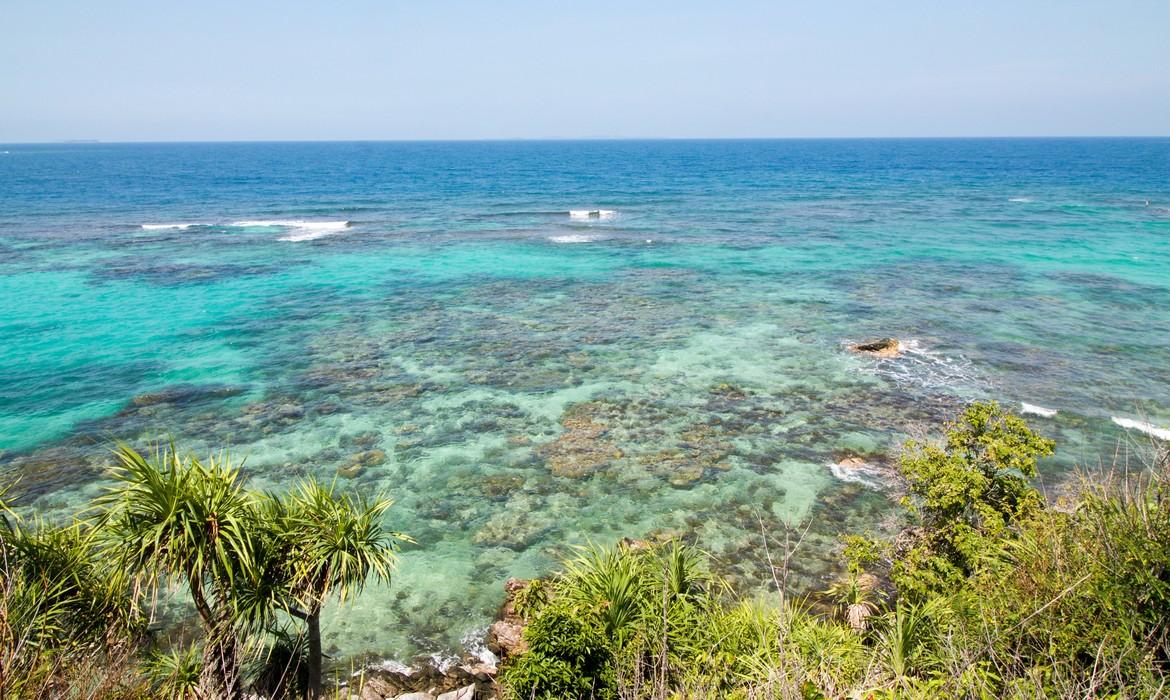 Reef near Anora Beach, Karimunjawa Island