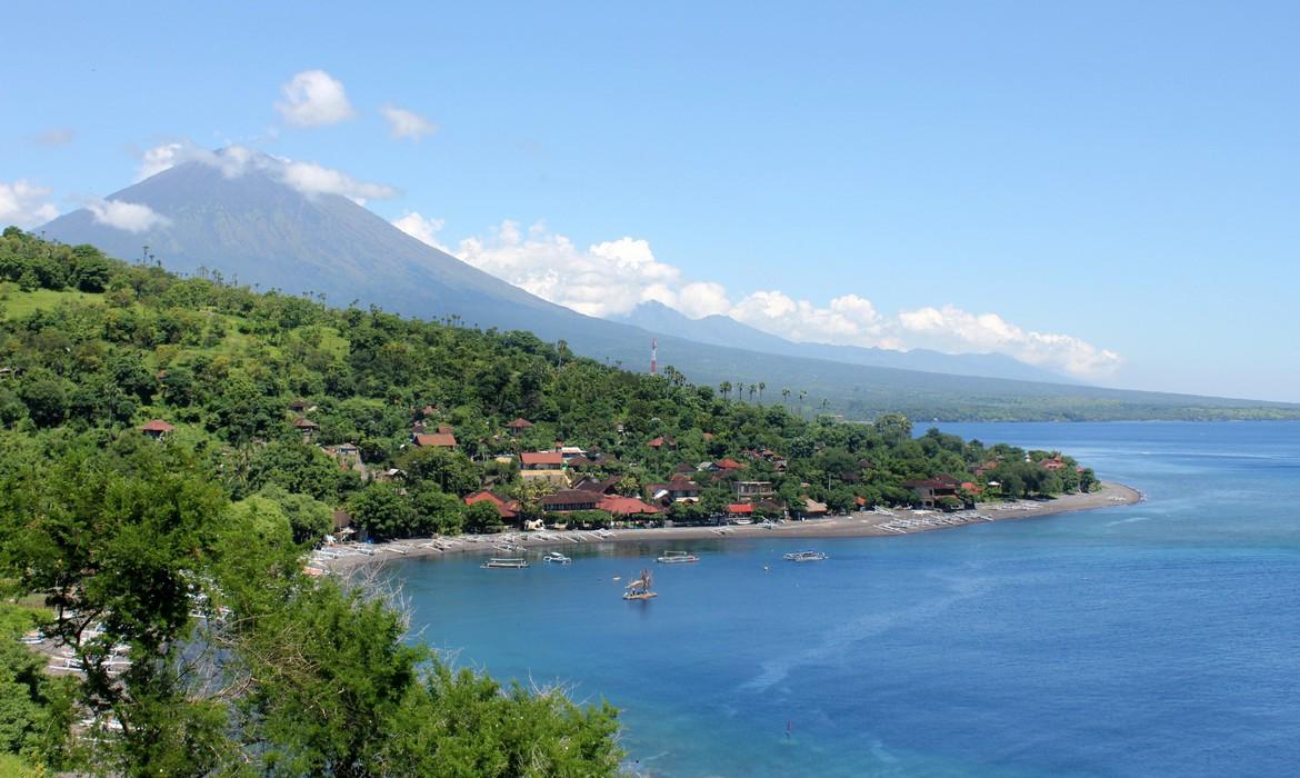 Bay, Amed