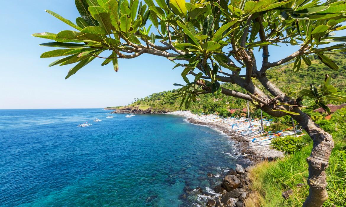 Beach, Amed