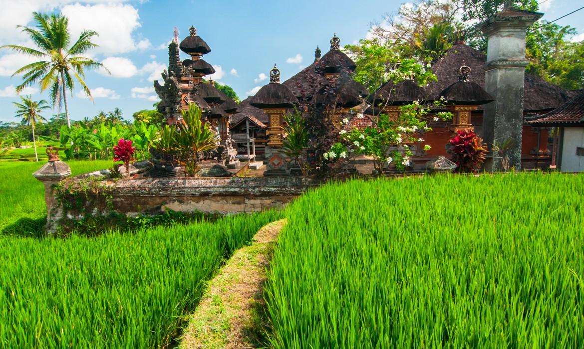 Small temple at rice terraces