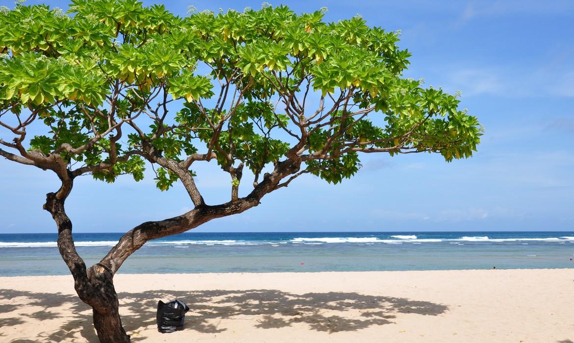 Beach, Nusa Dua