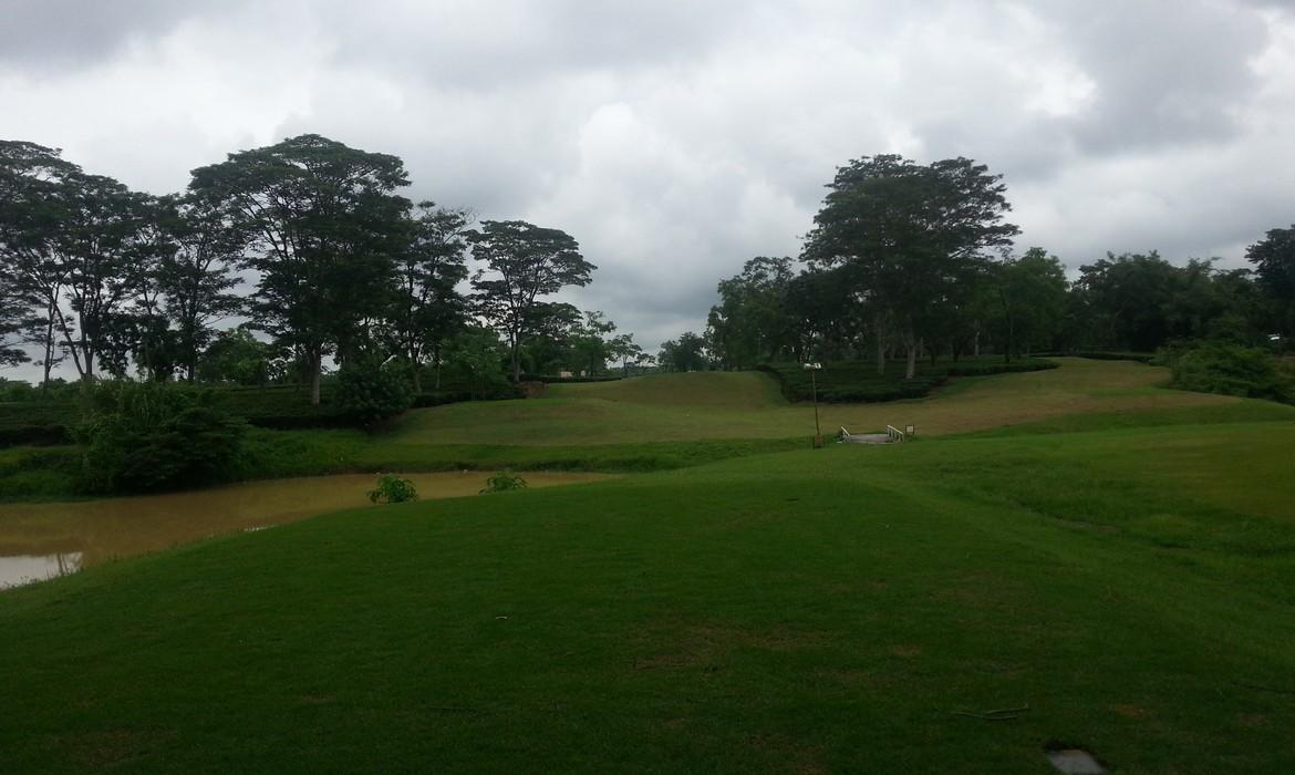 Jorhat tea estate