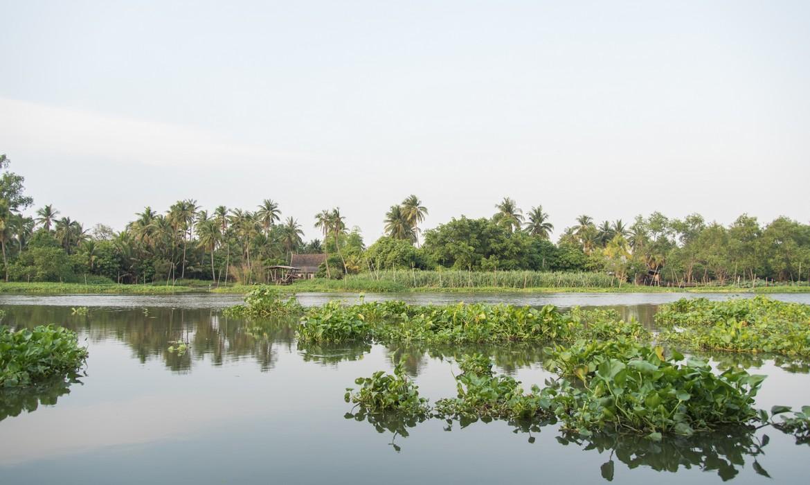 Majuli Island