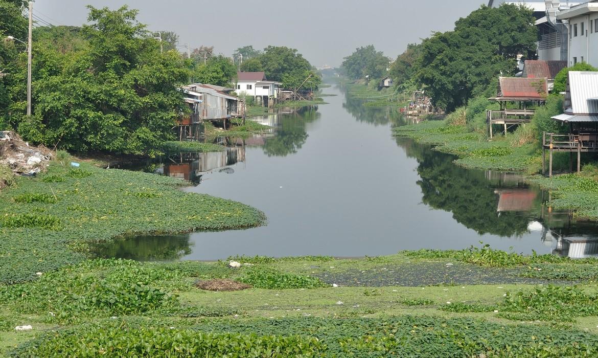 Majuli Island