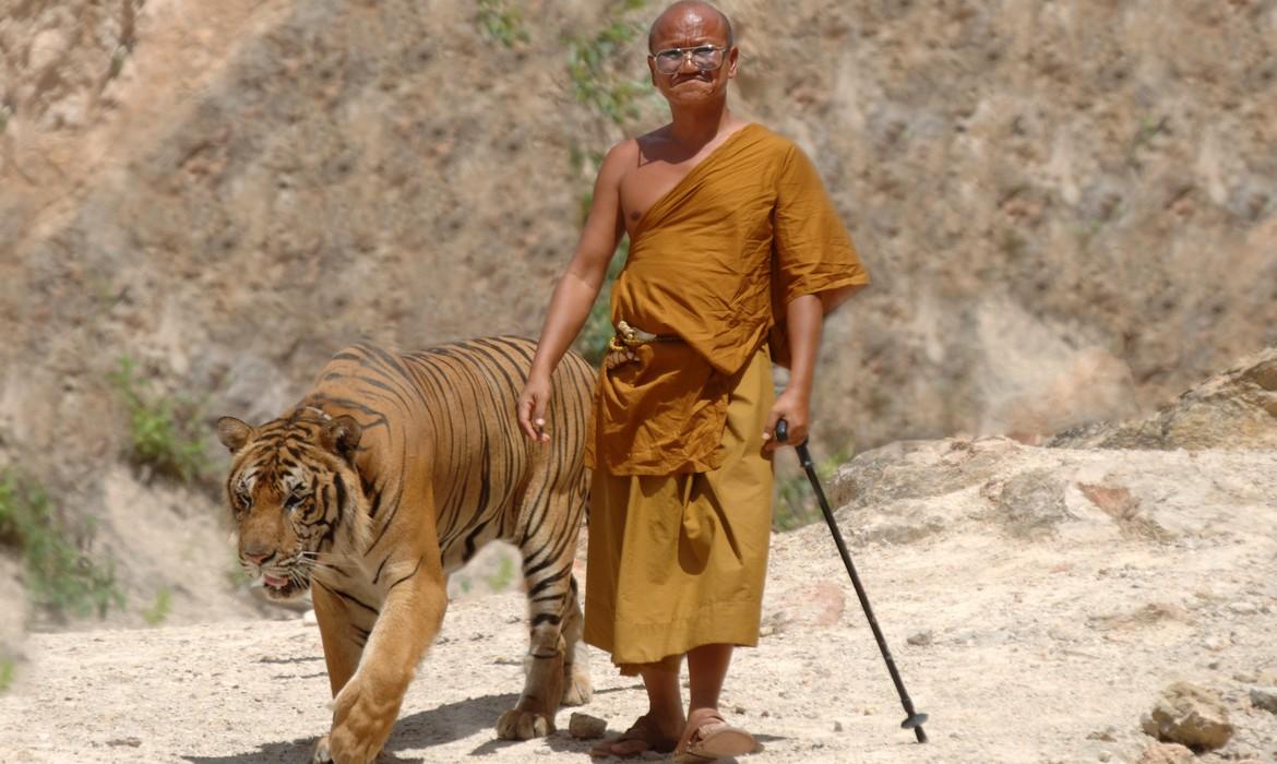 Gentleman with tiger, Rajasthan