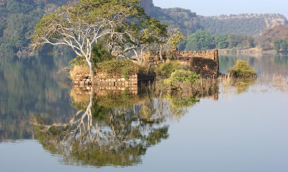 Ranthambore National Park