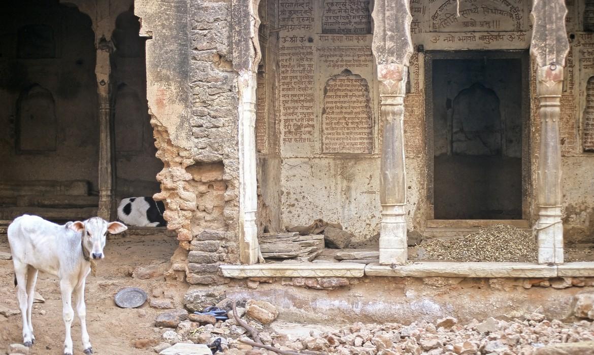 Street, Shekhawati