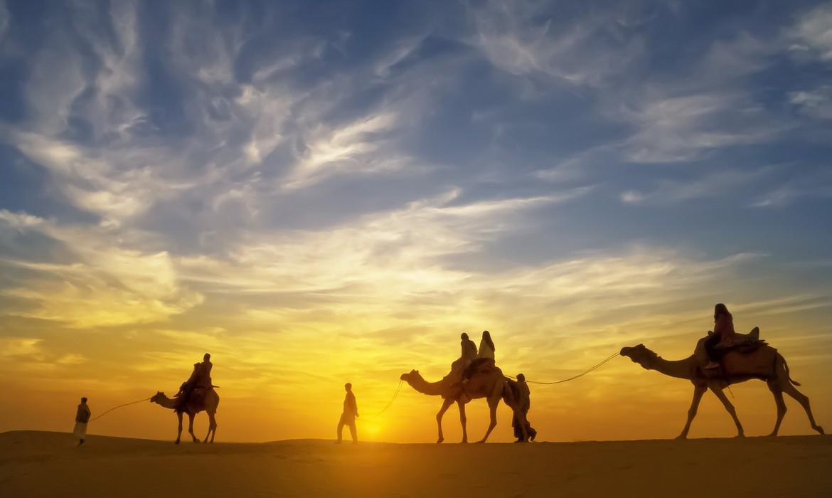 Thar Desert