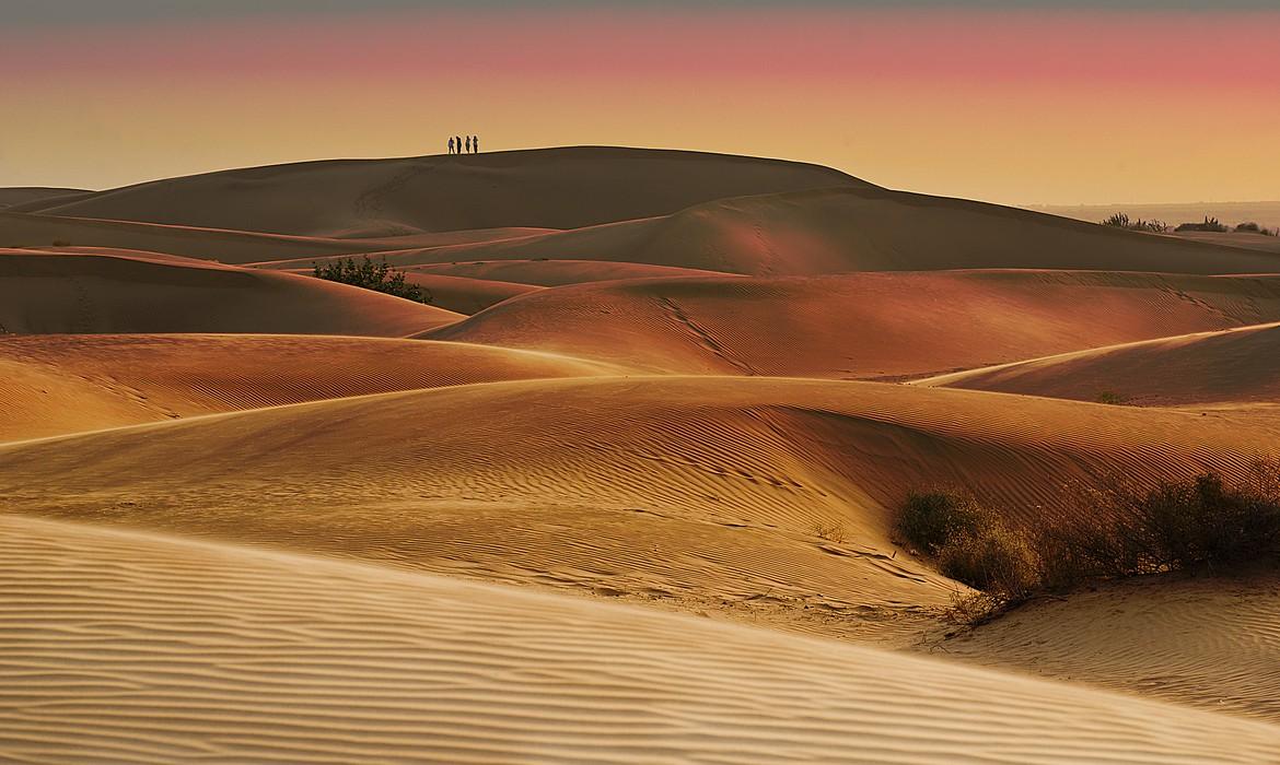 Thar Desert