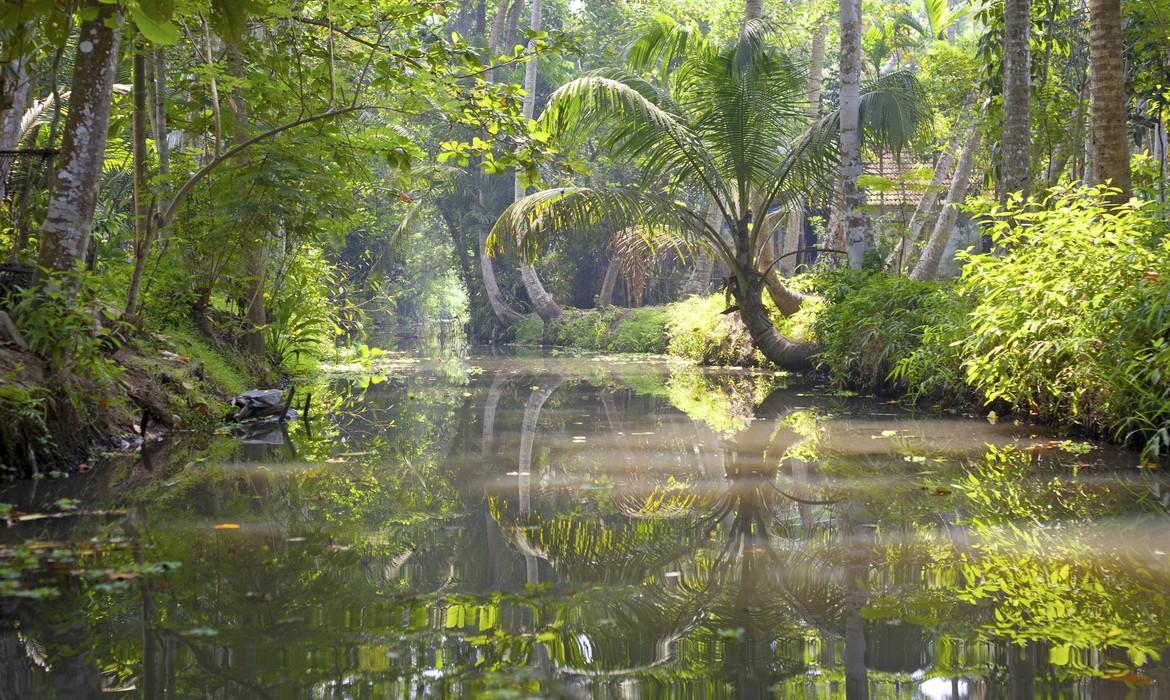 Kasaragod