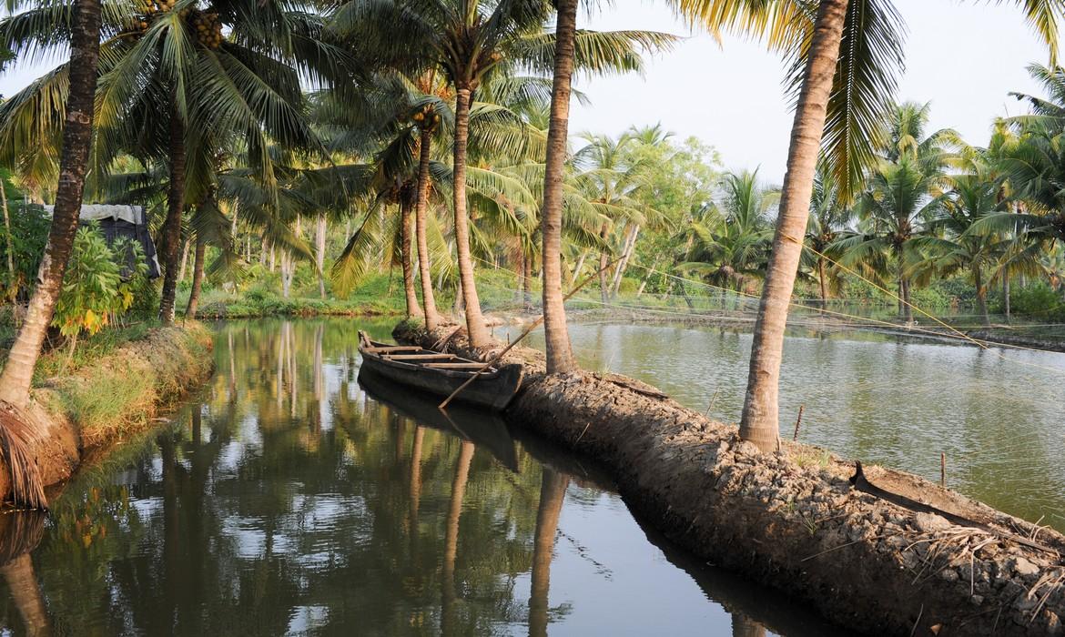 Kerala Backwaters