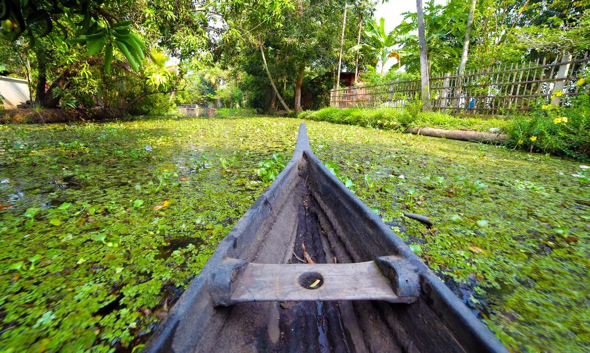 Kerala Backwaters