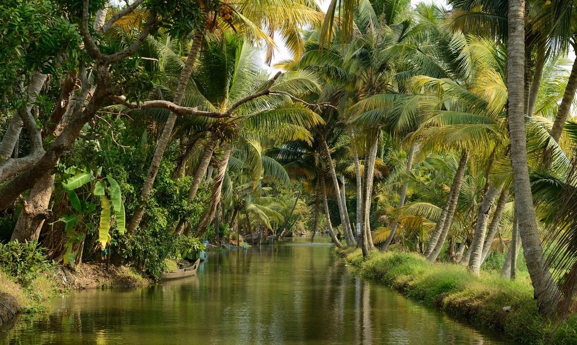 Kerala Backwaters