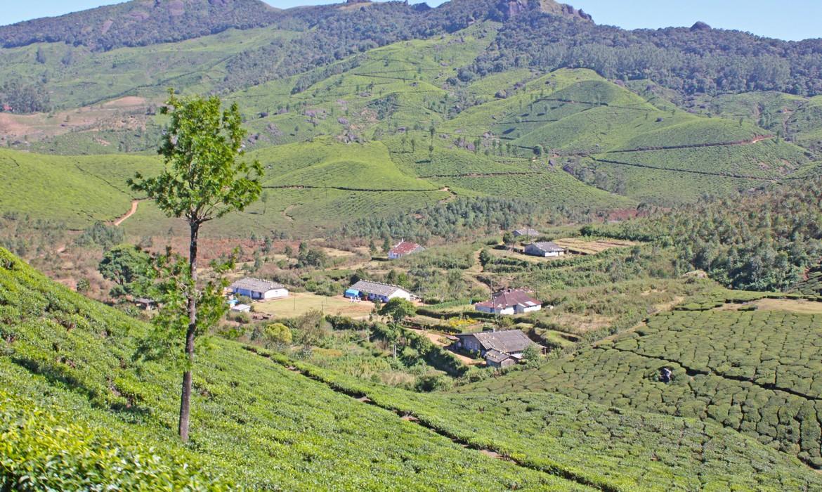 Western Ghats, Munnar Mountains
