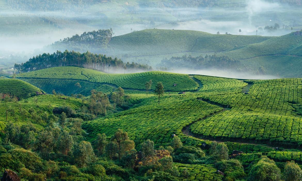 Munnar