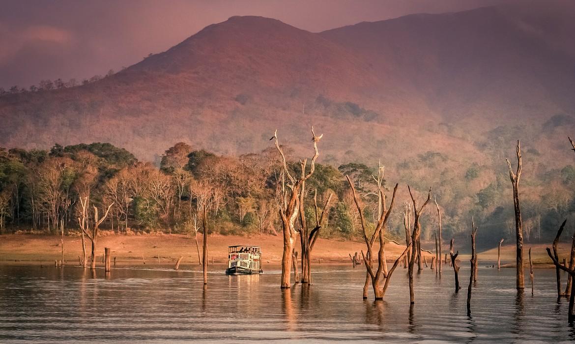 Periyar Tiger Reserve, Thekaddy