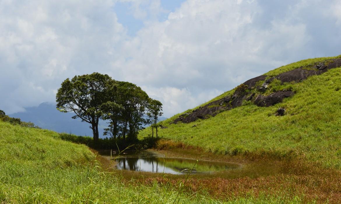 Wayanad
