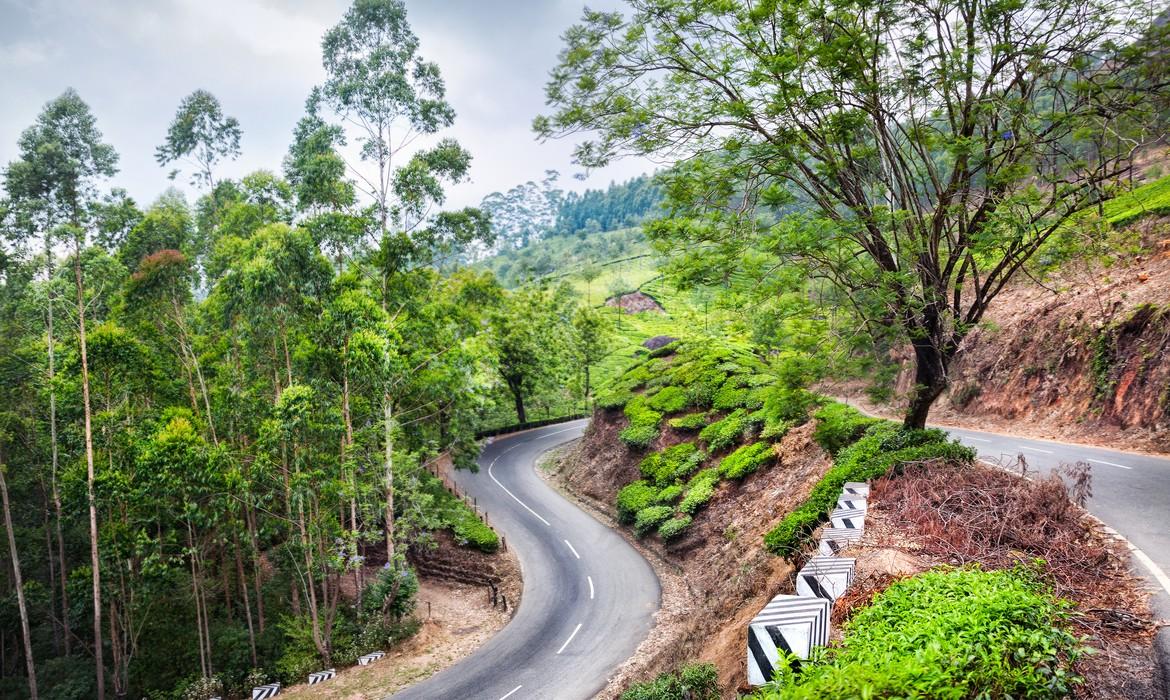 Western Ghats road