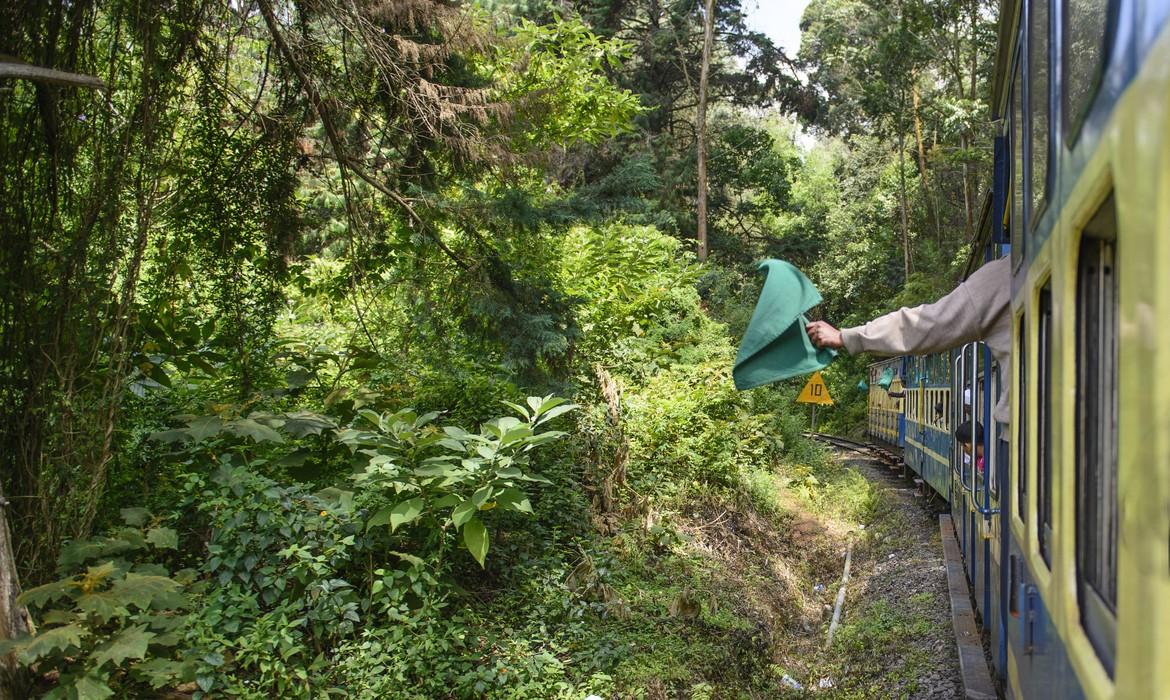 Mountain train, Ooty