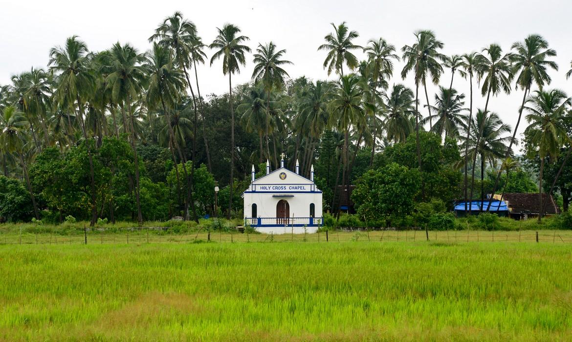 Church and trees, Goa