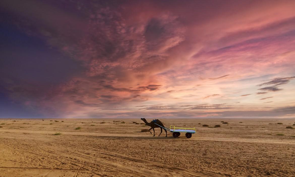 Gujarat Desert