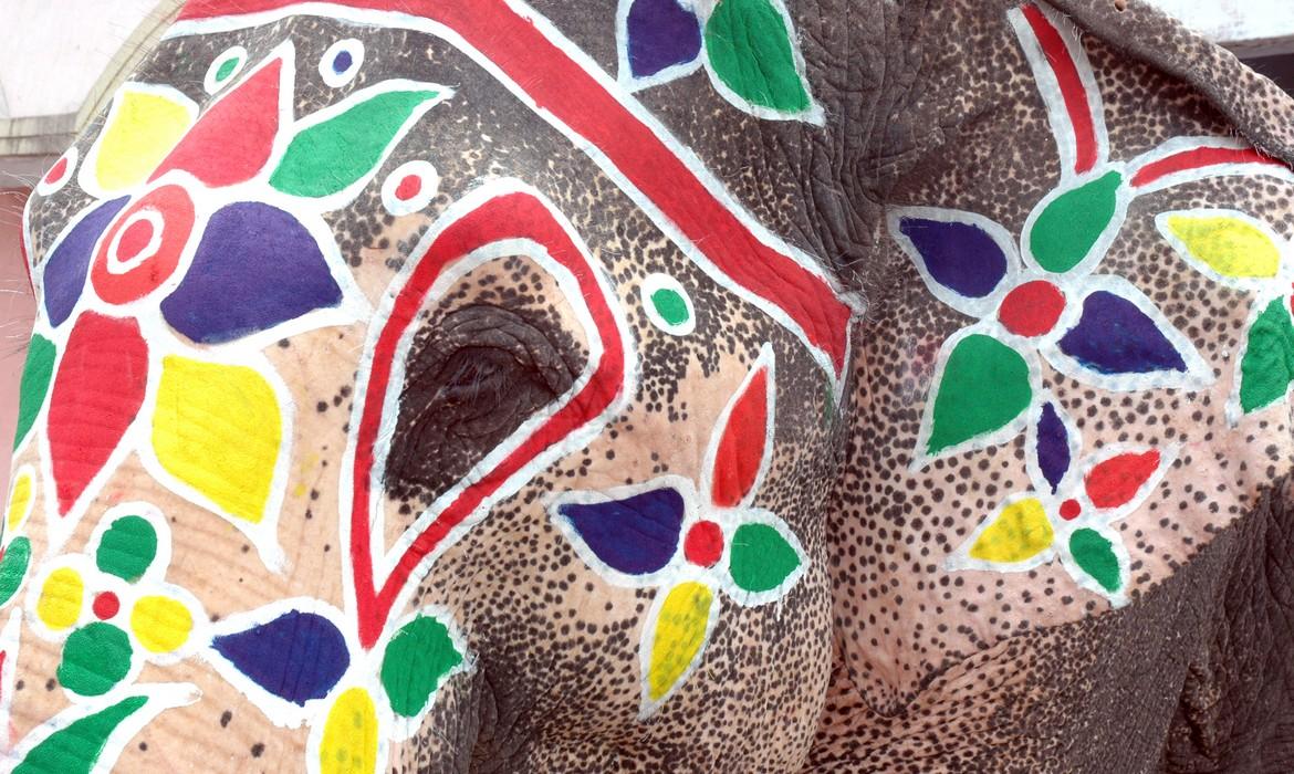 Painted elephant, Gujarat
