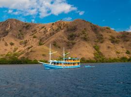 Komodo island cruise